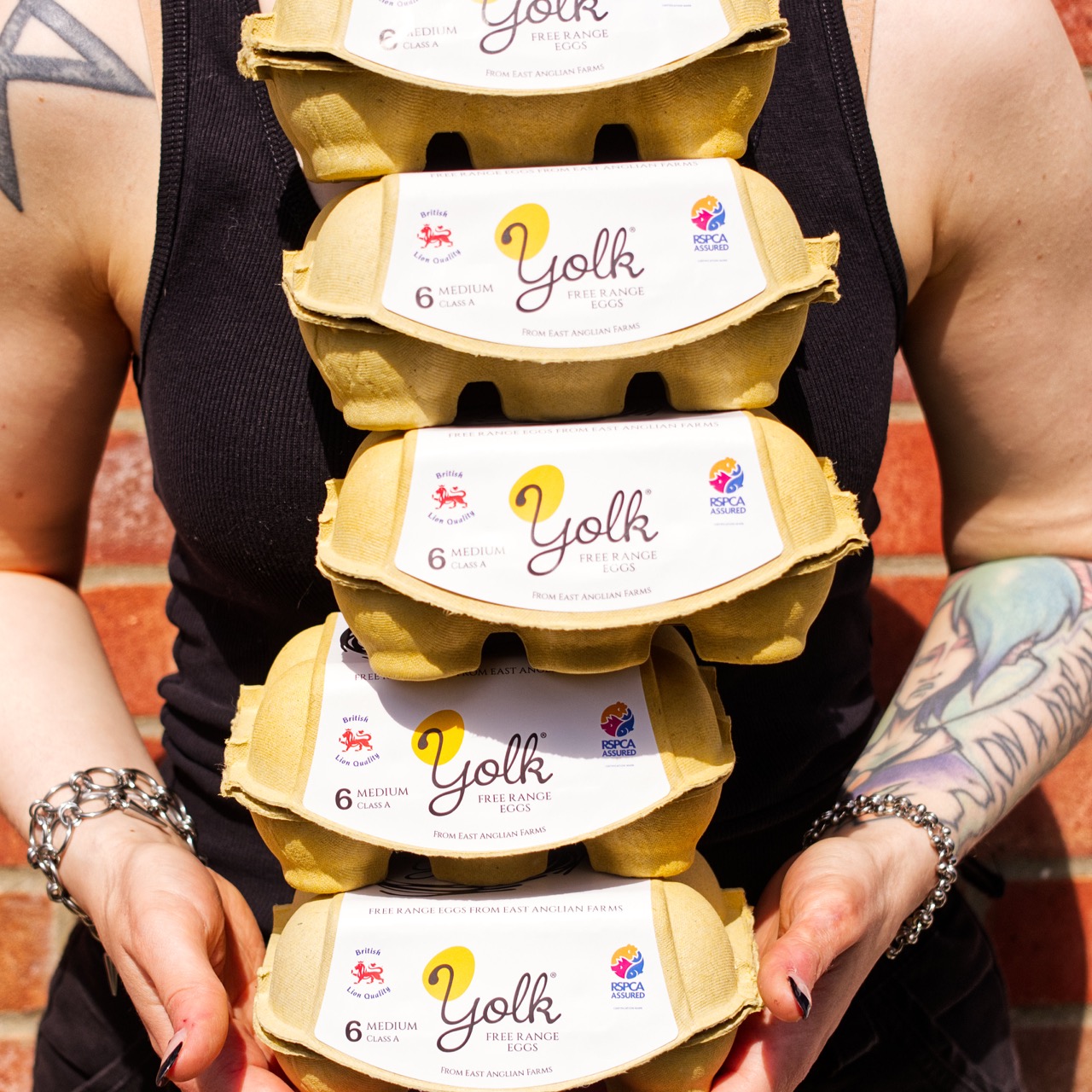 Yolk Free Range Eggs